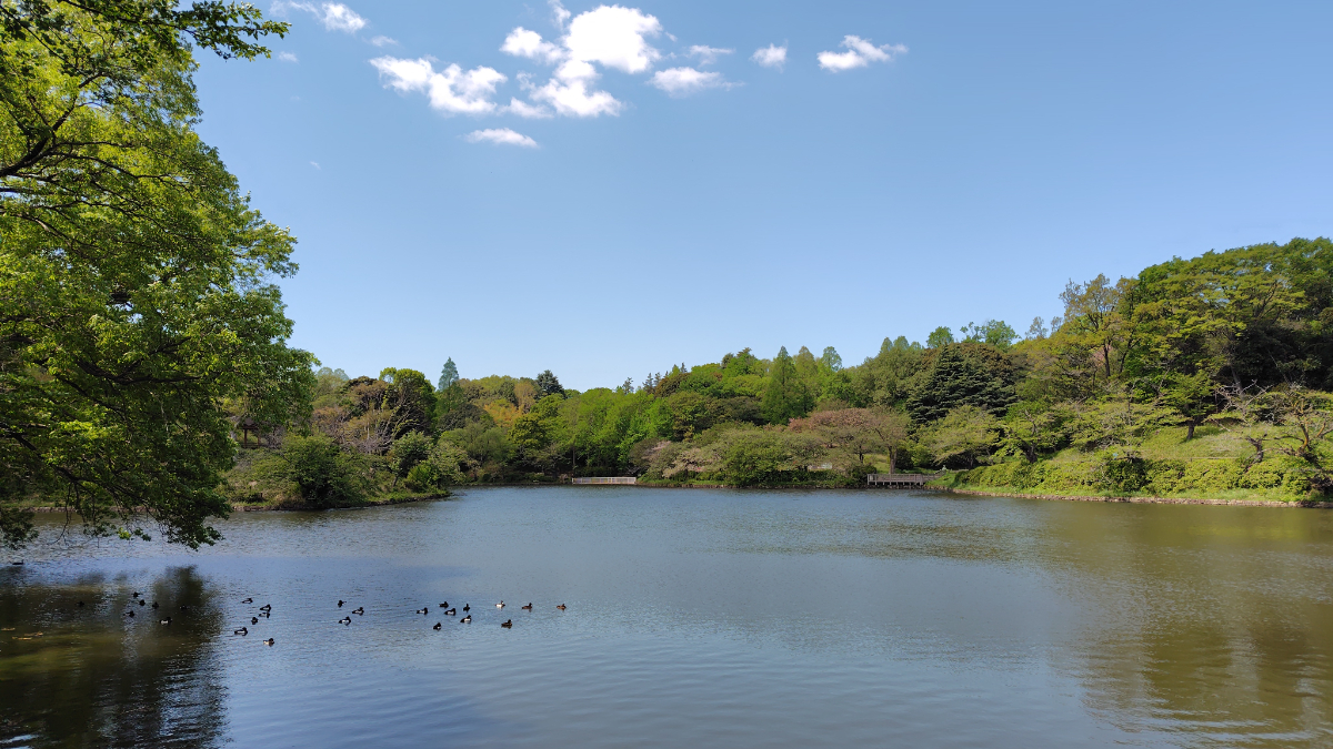 三ツ池公園